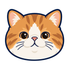 Exotic Shorthair cat