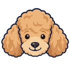 Poodle