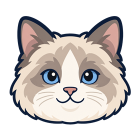 Ragdoll cat
